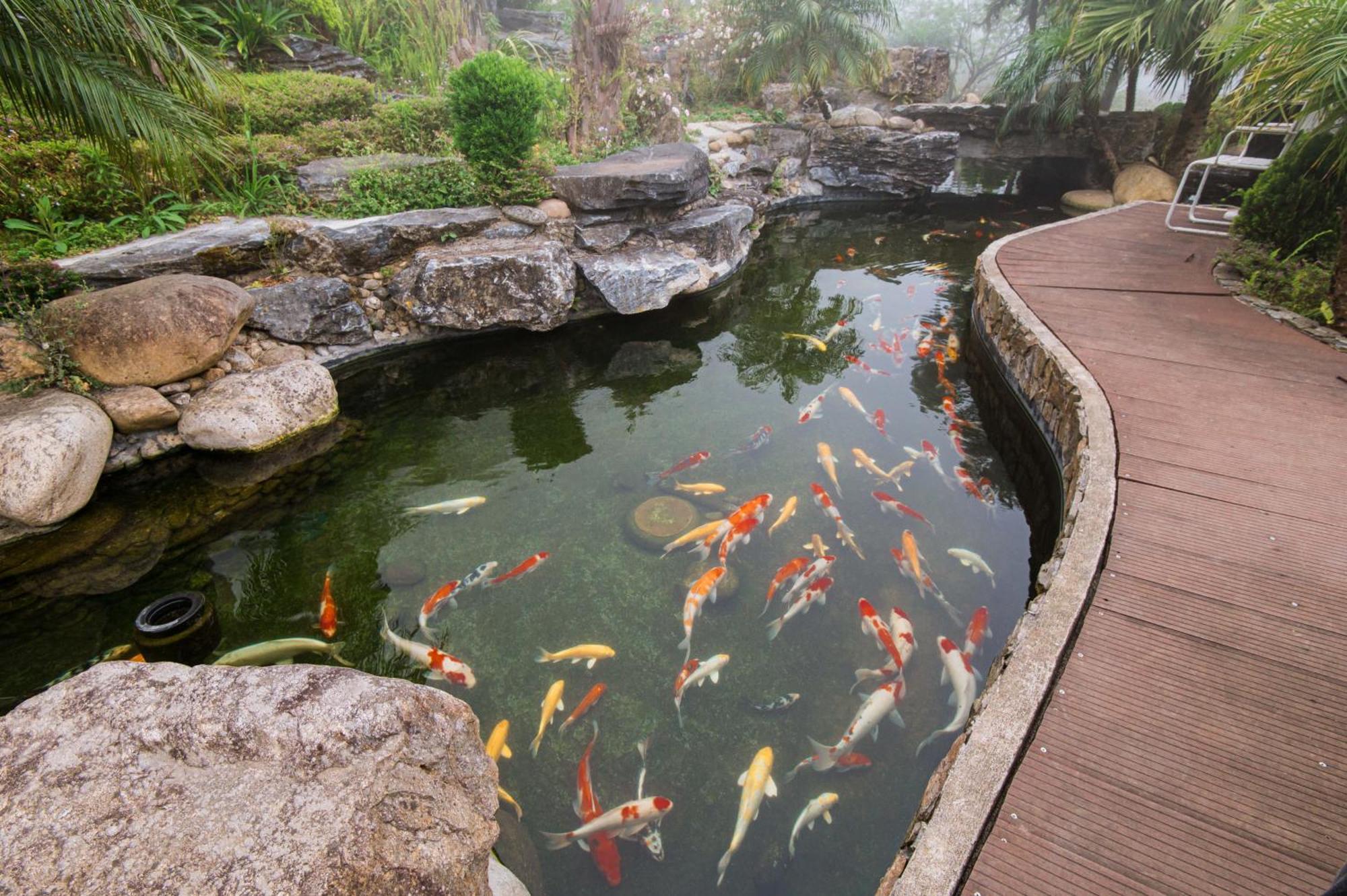 Sapa Catcat Hills Resort & Spa Exterior foto